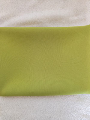 Geschirr-Farbe_Hellgrün.jpg